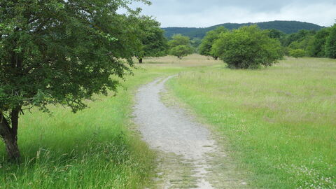 Landschaftsbild in der Dönche Dönche