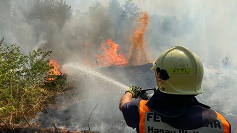 Waldbrand Hanau